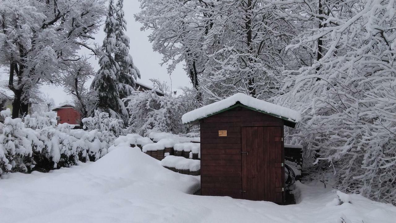 B&B Goccia Savigno Екстериор снимка
